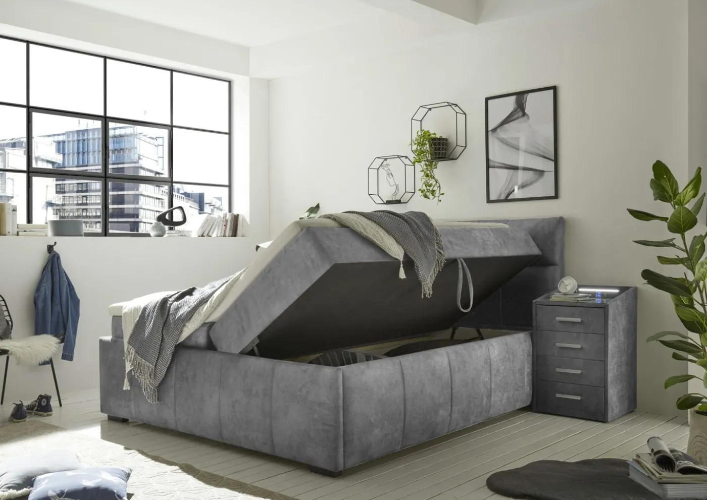 Boxbett AVIDANO 6