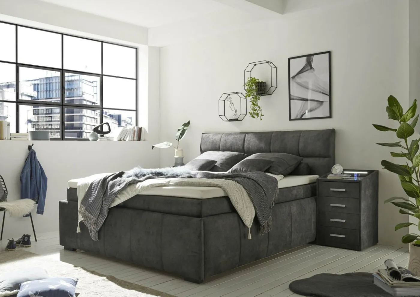 Boxbett AVIDANO 6