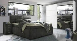 Boxbett AVIDANO 6