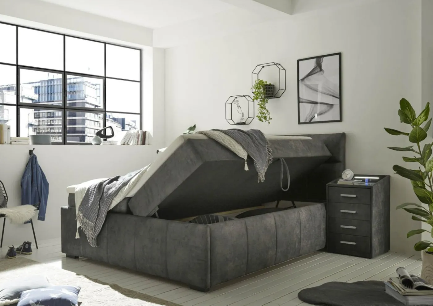 Boxbett AVIDANO 6