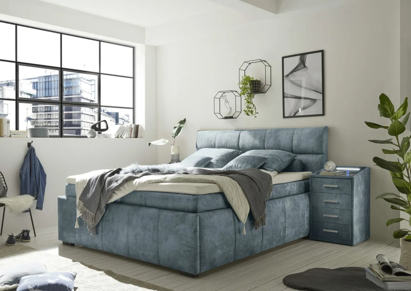 Boxbett AVIDANO 6