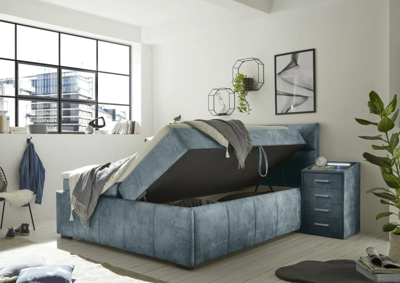 Boxbett AVIDANO 6