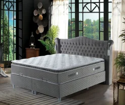 Boxbett COSTARICO