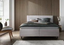 Boxbett MALENTE