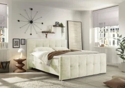 Boxbett PUEBLA