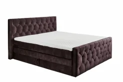 Boxspringbett CASHFIELD 8