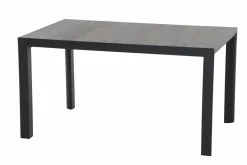 Dining Tisch L18953