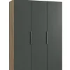 Drehtürenschrank LEVEL 36 A