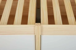 Funktionsbett WILNA