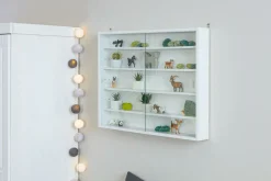 Sammlervitrine COMPILATI