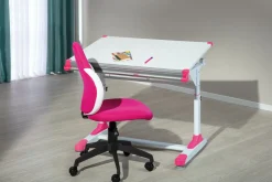 Schülerschreibtisch 2COLORIDO