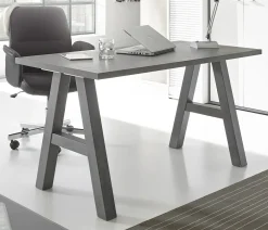 Schreibtisch 120 cm MISTER OFFICE