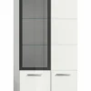 Vitrine ICE