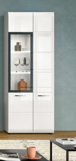 Vitrine ICE