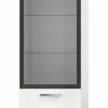 Vitrine ICE