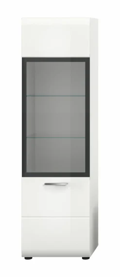 Vitrine ICE