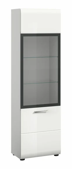 Vitrine ICE