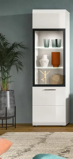 Vitrine ICE